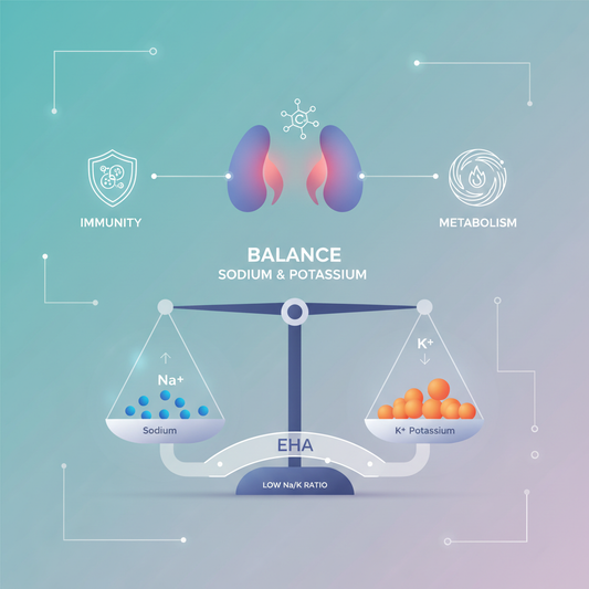 Understanding the Sodium-to-Potassium Ratio in HMA: What It Really Says About Stress, Hormones, and Immunity