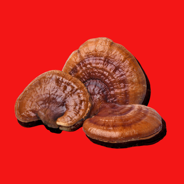 Is this fungi right for you . . . ?