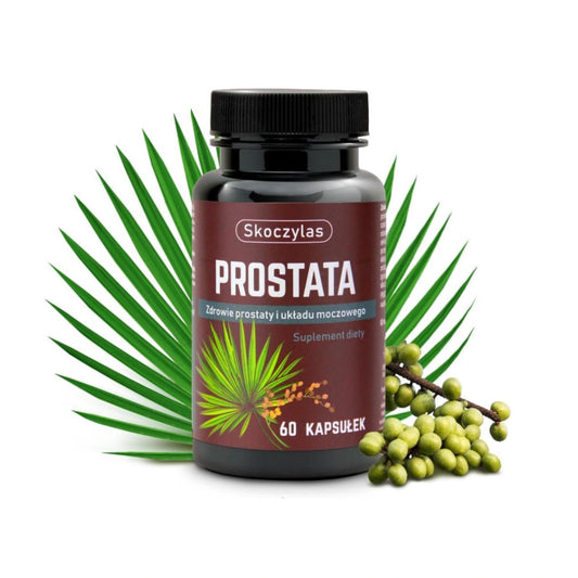 Prostata