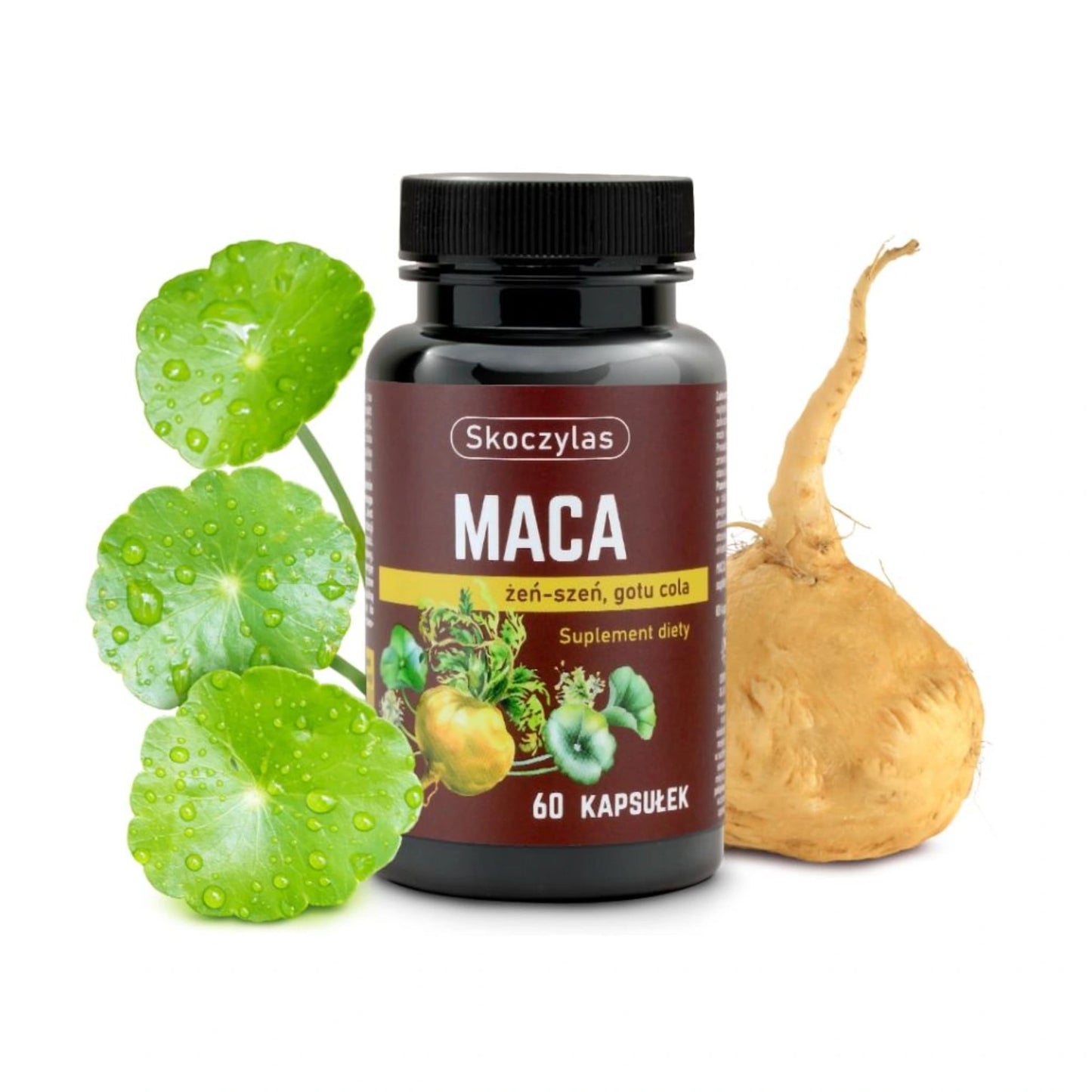 Maca + Ginseng + Gotu Kola