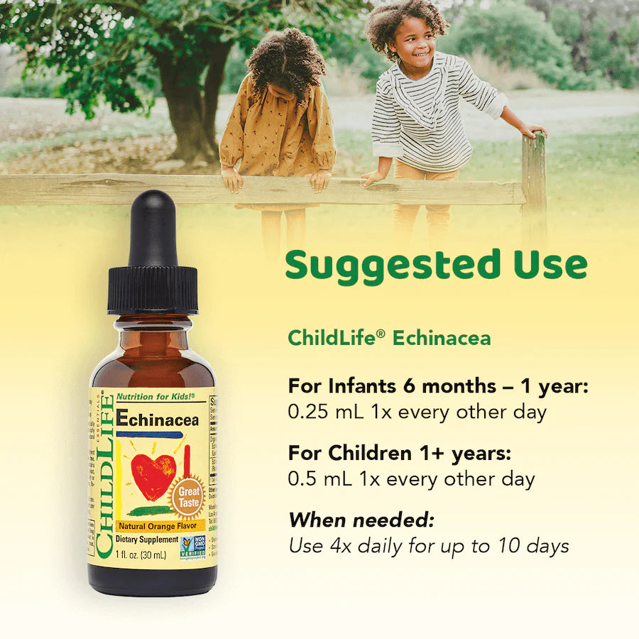 Jeżówka - Echinacea ChildLife Essentials®